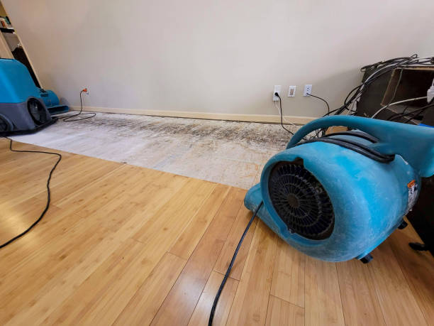 Professional Flood Damage Cleanup technician working in Mechanicsburg, PA